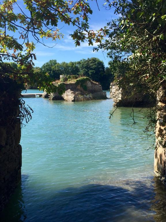 Bed and Breakfast Les Muscaris Le Minihic-sur-Rance Esterno foto