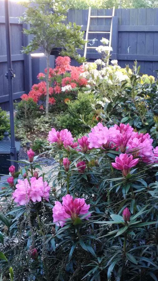 Bed and Breakfast Les Muscaris Le Minihic-sur-Rance Esterno foto